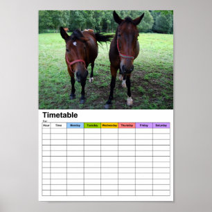 Horses on pasture / Timetable Poster