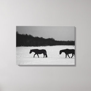 Horses On Snow 24x16 (60x40cm) waccna Canvas Print