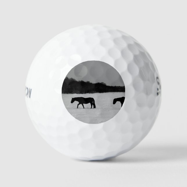 Horses On Snow ssf gbcnm Golf Balls (Front)