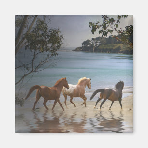 Horses on the Beach Magnet