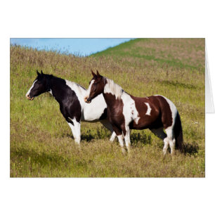 Horses on the hillside