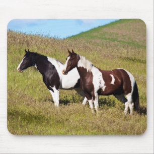 Horses on the hillside mouse pad