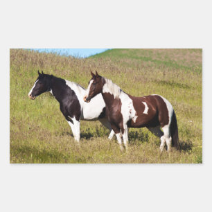 Horses on the hillside rectangular sticker