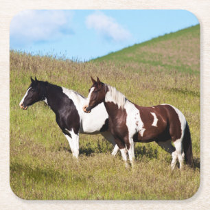 Horses on the hillside square paper coaster