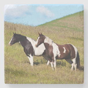 Horses on the hillside stone coaster