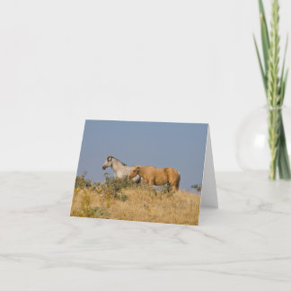 Horses on the Pasture Hill Card