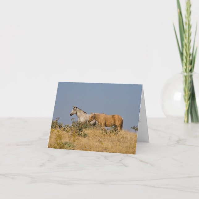 Horses on the Pasture Hill Card (Front)