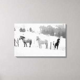 Horses on the Ranch Canvas Print