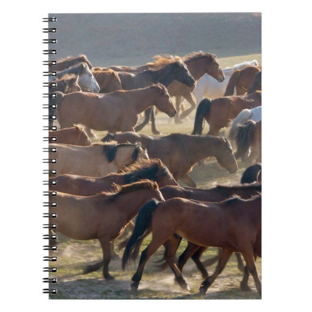 Horses on the ranch, Inner Mongolia, China Notebook (Front)