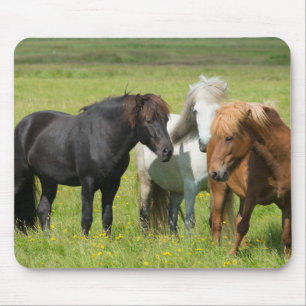 Horses on the Ranch, South Iceland Mouse Pad