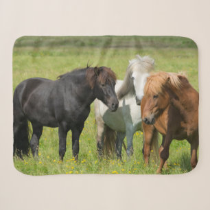 Horses on the Ranch, South Iceland Sherpa Blanket