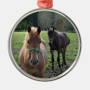 Horses ornament