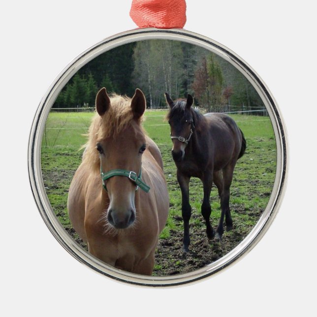 Horses ornament (Front)
