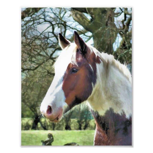 HORSES PHOTO PRINT (Front)