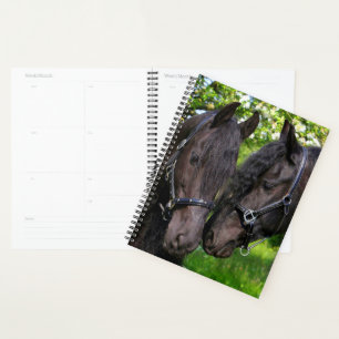 Horses Planner