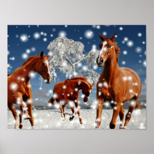 Horses Playing In Snow Poster