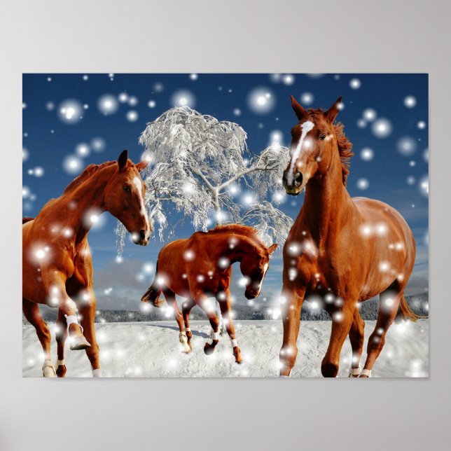 Horses Playing In Snow Poster (Front)
