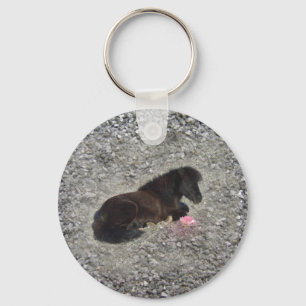 horses pony shetty animal minihorse key ring
