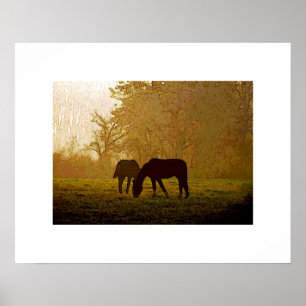 Horses Pop Art Poster Print - Horse Posters
