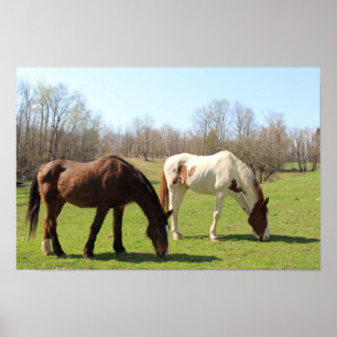 Horses Poster