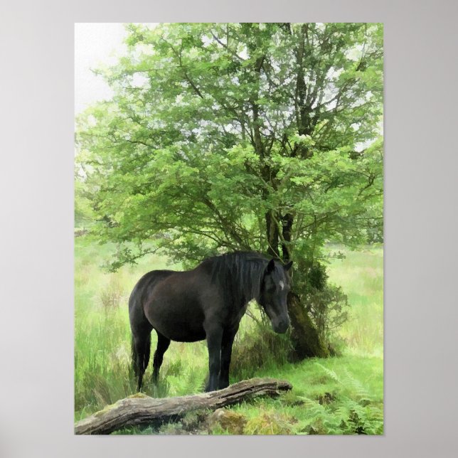 HORSES POSTER (Front)