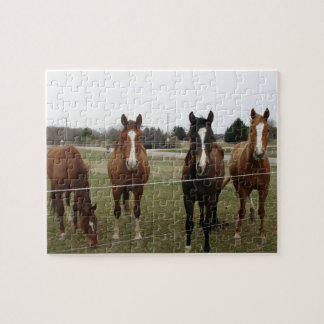Horses Puzzle