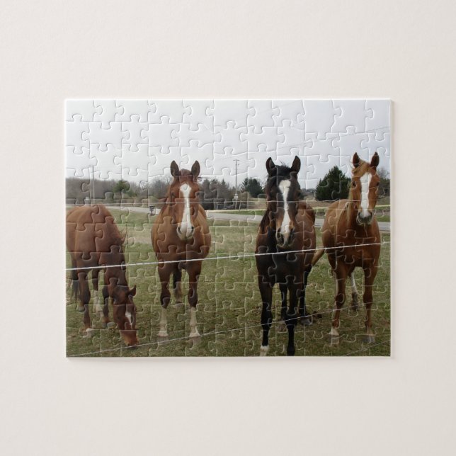 Horses Puzzle (Horizontal)