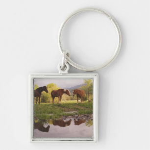 Horses reflected in small stream, Cades Cove, Key Ring