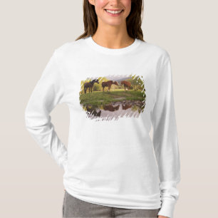 Horses reflected in small stream, Cades Cove, T-Shirt