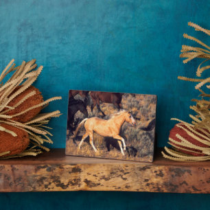 Horses Running a Ponderosa Ranch Plaque
