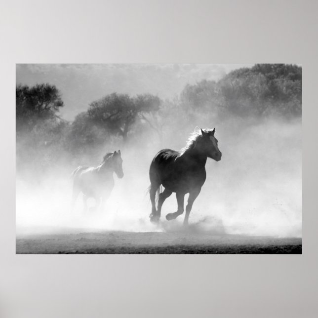 Horses running black and white beautiful scenery poster (Front)