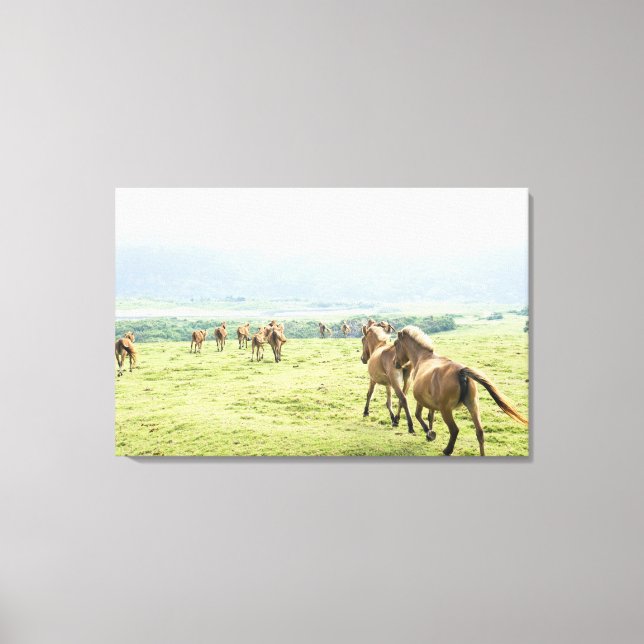 Horses running canvas print (Front)