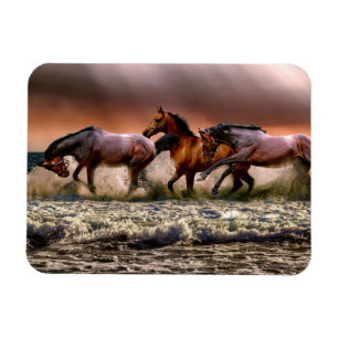 Horses Running in Ocean Surf at Sunset Magnet