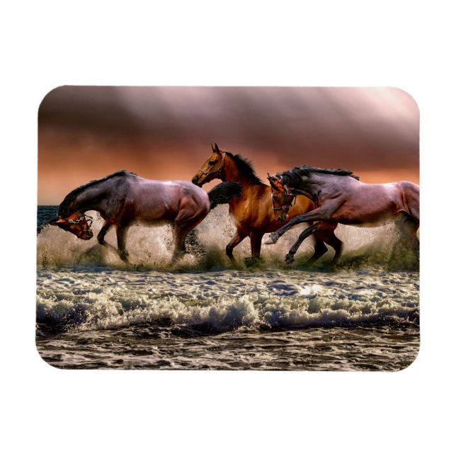 Horses Running in Ocean Surf at Sunset Magnet (Horizontal)
