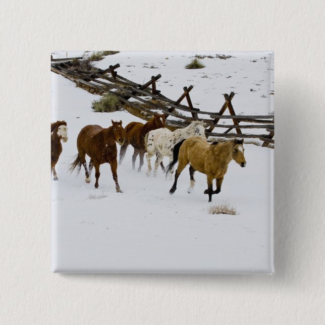 Horses Running in Snow 15 Cm Square Badge (Front)