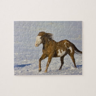 Horses Running in Snow Jigsaw Puzzle