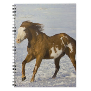Horses Running in Snow Spiral Notebook