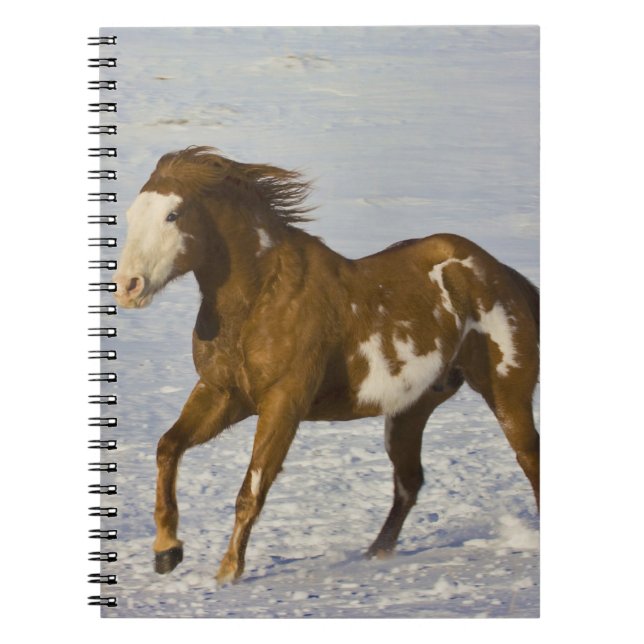 Horses Running in Snow Spiral Notebook (Front)