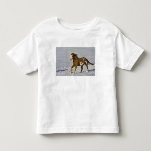 Horses Running in Snow Toddler T-Shirt