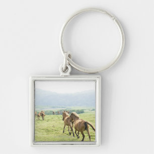 Horses running key ring