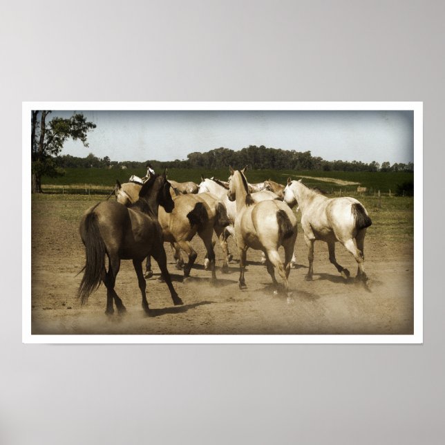 Horses Running Poster (Front)