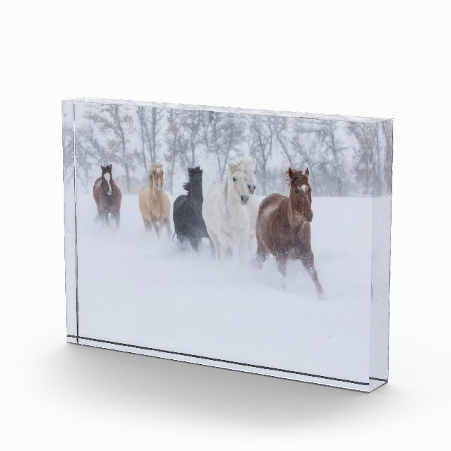Horses Running Through the Snow Photo Block (Right)