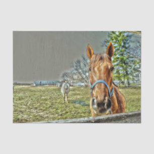 Horses Rustic Country Western Farm Decoupage Tissue Paper