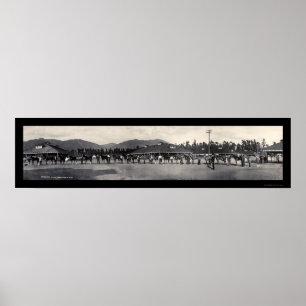 Horses Santa Anita Photo 1908 Poster