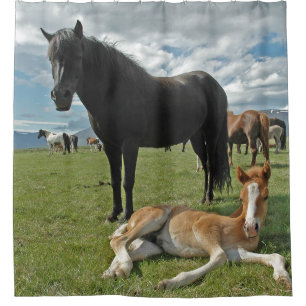 Horses Shower Curtain