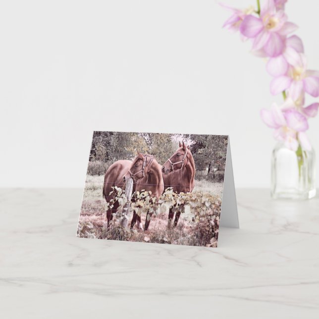Horses Side-by-Side  - Blank Card (Orchid)