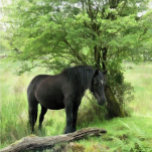 HORSES SILVER PLATED NECKLACE<br><div class="desc">A beautiful black mare resting in the shade of a tree.</div>