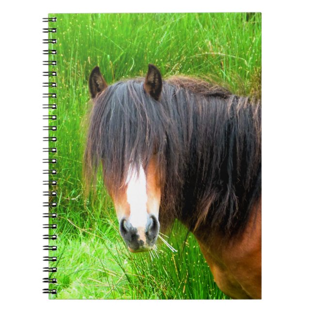 HORSES SPIRAL NOTEBOOK (Front)