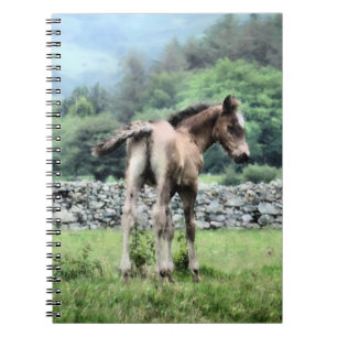 HORSES SPIRAL NOTEBOOK