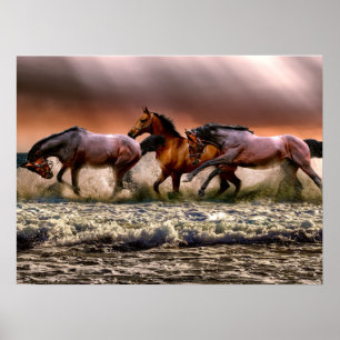 Horses Stallion at Beach Photo Nature Wall Poster